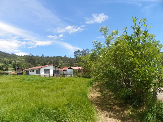 Finca Pequeña Cerca De Bogotá, Magnifico Clima, Sector Tranquilo, Buenas Vías De Acceso, Adecuada Para Vivienda, Proyecto Agroecológico O Casa De Descanso.