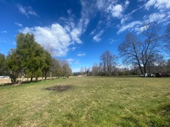 Se Vende 1 Hectárea En Cunco (71648)
