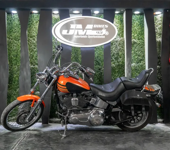 Harley-davidson Softail Custom 2010
