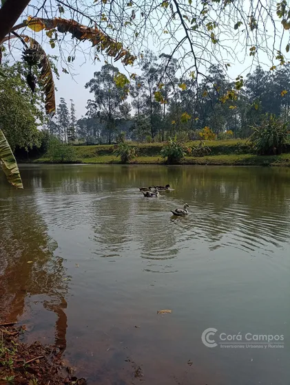 Se Vende Quinta 1.25ha Con Lagunas En San Isidro - Posadas, Misiones