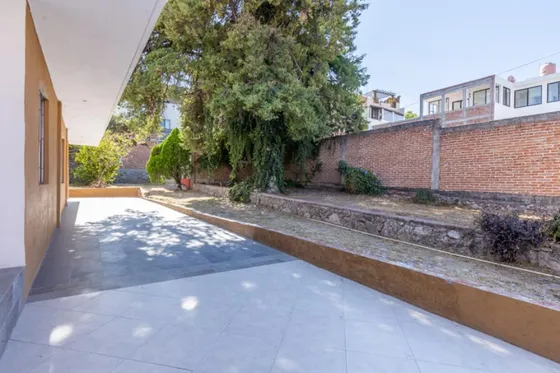 Lote Arbol