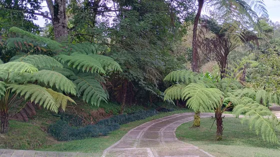 Vendo Bello Chalet En San Pablo Valle Del Cauca
