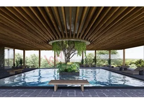 Lote En Colonia Del Bosque, Cuernavaca, Morelos.