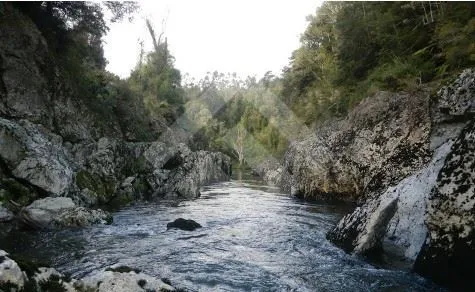 Otros En Venta En Dalcahue