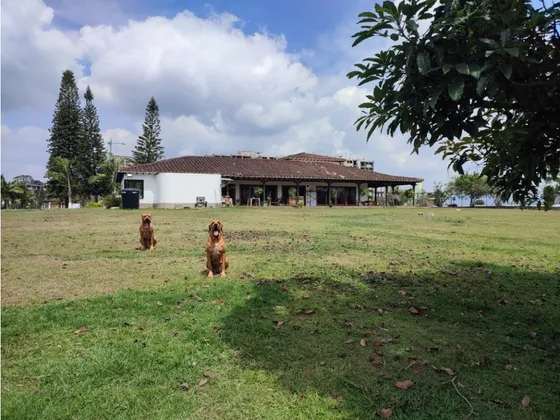 Finca En Venta Rionegro Antioquia Sector La Macarena Or1052
