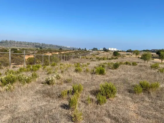 Venta De Parcela En Condominio San Gerónimo, Algarrobo