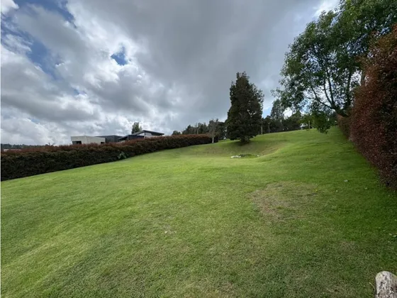 Lote En Venta En Alto De Palmas