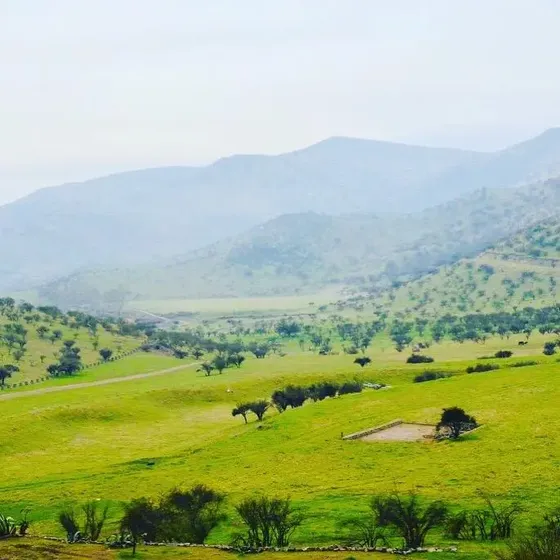 Terreno Colina