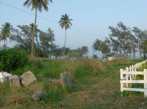 Venta Terreno 1.4 Hectáreas En La Playa De Tuxpan Veracruz