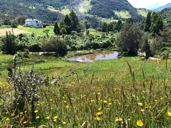 Finca La Calera