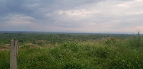 Finca En Puerto Berrio 