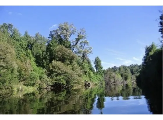 Se Vende Campo De 4125 Hectareas ,  Butalcura- Chepu, Comuna