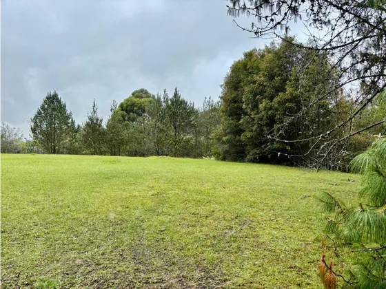 Venta De Lote En Parcelación En Llanogrande Antioquia 