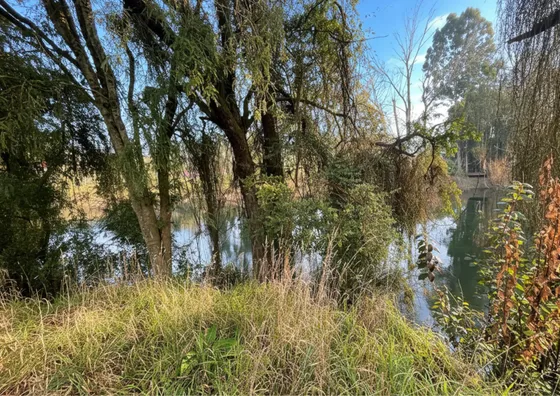 Espectacular Parcela Con Acceso Al Río A 15 Km Del Centro