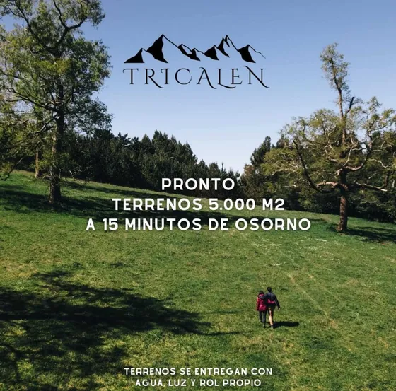 Vendehermoso Proyecto De Parcelas A 20 Minu (103005)