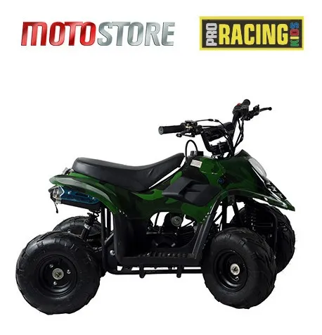 Mini Cuatriciclo Atv Hunter 110cc 0km Proracing Niño 2023