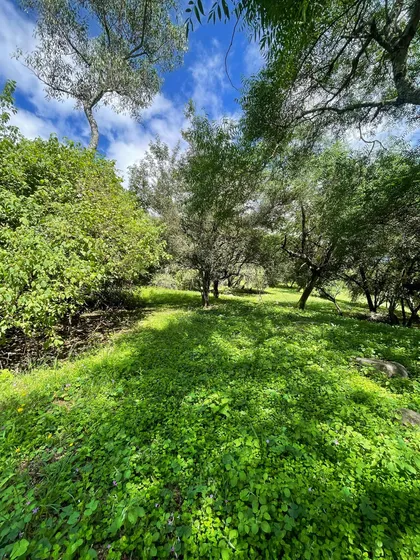 Vendo Excelente Terreno  La Hoyada De Castellanos- Salta