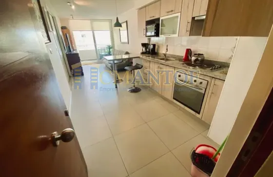 Arriendo Departamento 1 Dormitorio Parque Brasil Incluye Gc