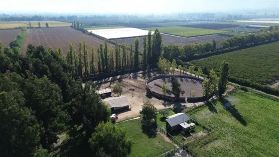 Agrícola En Venta En Codegua