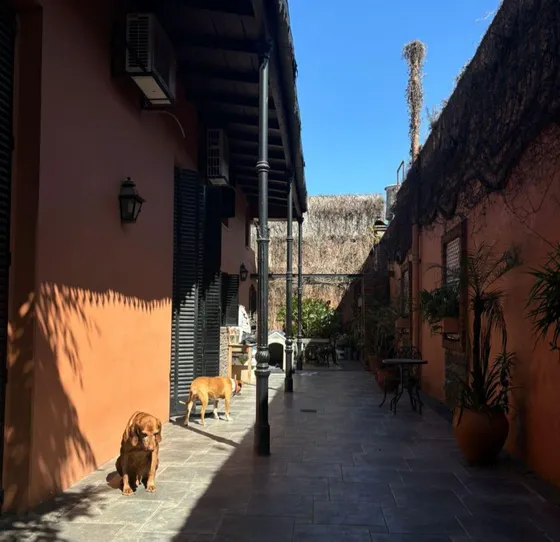 Venta, Casa, 4 Ambientes, Avellaneda