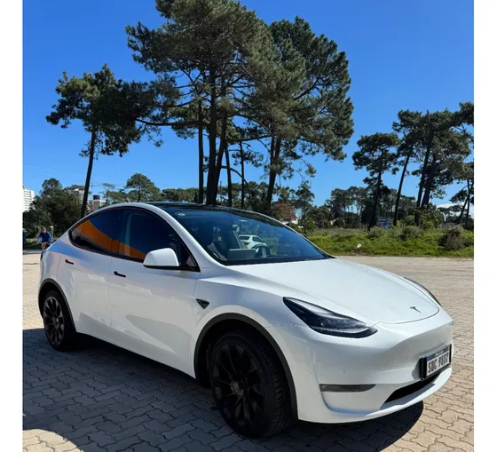 Tesla Y Long Range - Awd