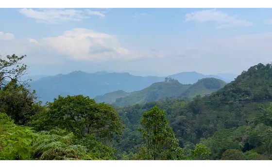La Vega C/marca - Finca 3 Hectáreas En Venta 