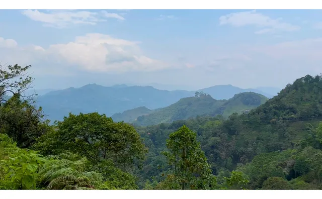 La Vega C/marca - Finca 3 Hectáreas En Venta 