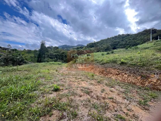 Tocota, Vereda San Miguel, Lote En Venta, 4.240 M2