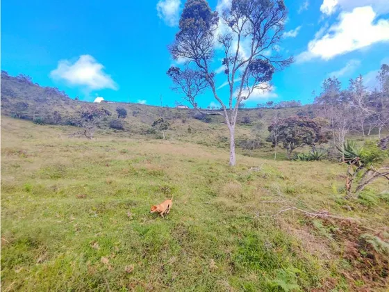 Lote En Guarne Vereda La Enea  Nacimiento De Agua  