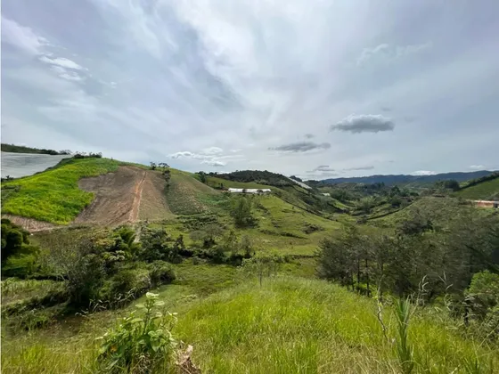 Linda Finca En Venta El Peñol