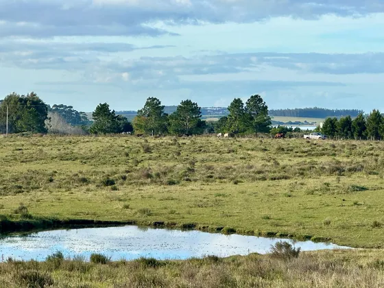 Venta De Chacra 15 Hectareas En Anastasio, Jose Ignacio