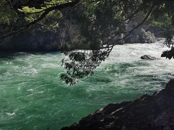 Sitio En Venta En Aysén