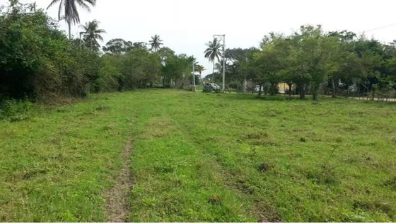 Venta Terreno 8.62 Hectareas Frente Fecapomex Tuxpan Veracruz