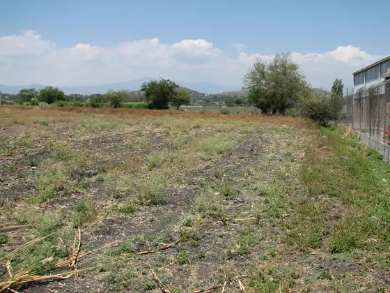 Terreno En Venta En Xochitepec Centro, Xochitepec, Morelos