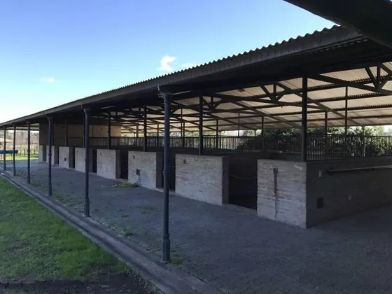 Oportunidad Alquiler Chacra Con Caballerizas - Zona Pilará - Mallmann Propiedades