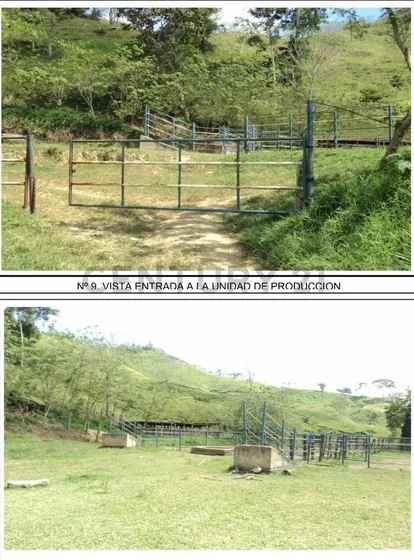 Nirgua. Estado Yaracuy. En Venta Finca De 1000 Hectáreas