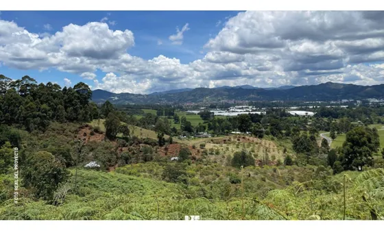 Lote En Venta Precio De Oportunidad Sector El Yarumo En La Ceja