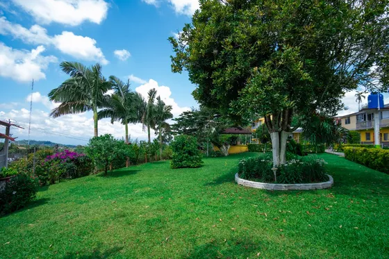 Arriendo Apartaestudio Amoblado Vía Pereira- Armenia
