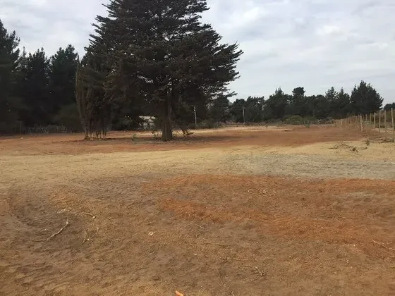 Industrial En Arriendo En Viña Del Mar