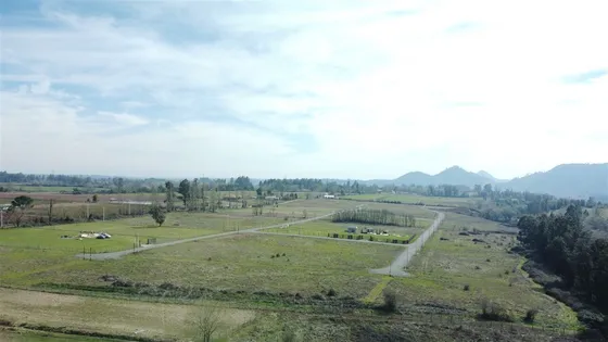 Parcela 5000 M2 En Venta En San Clemente