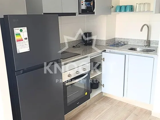 Arriendo Home Studio En Santiago - Depto Amoblado