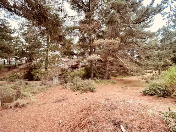 Terreno Para Proyecto De Loteo En El Puquio, El Tabo