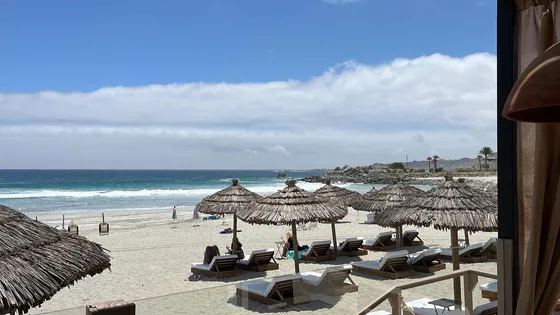 Las Tacas Sitio 6.000m2 Subdividible