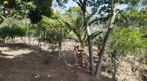 Terreno/chácara 1000m2 No Bairro Do Mursa Em Várzea Pta Sp
