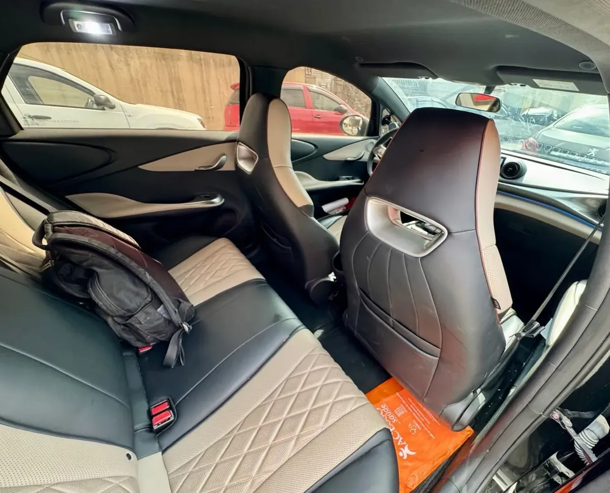 BYD Dolphin 2024 0.0 Gs Ev Aut. 5p Eléctrico — foto 5