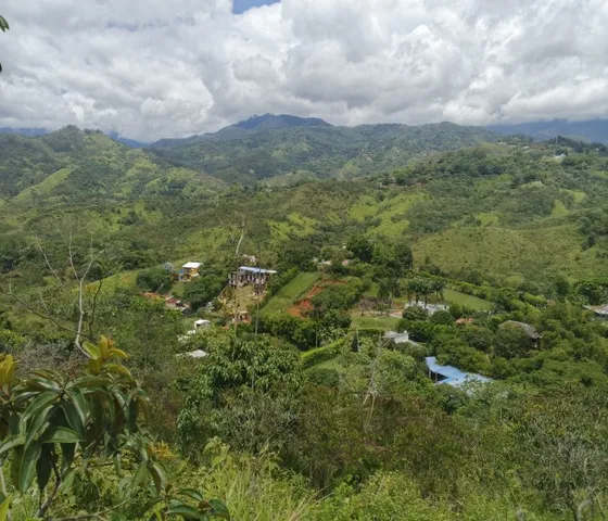 Se Vende Lote En La Buitrera Cali