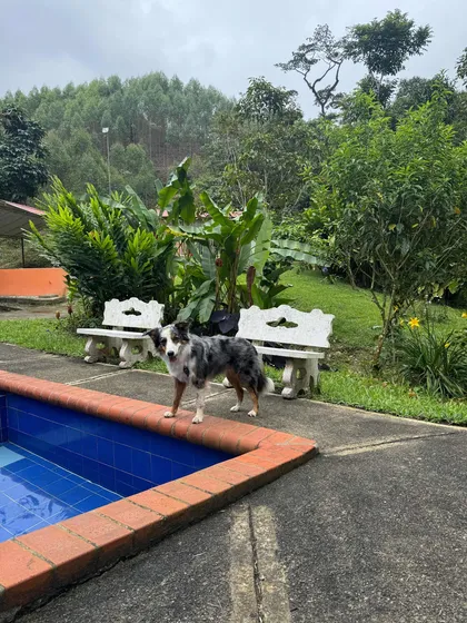 Venta De Hermosa Casa De Campo A 5 Minutos Del Castillo