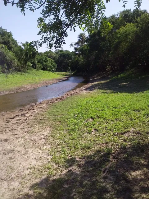 Vendo 500 Hectareas En Pto Pinasco 