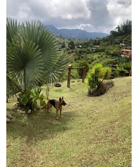 Finca En Peñol Cercana A La Piedra Con Vista A La Represa