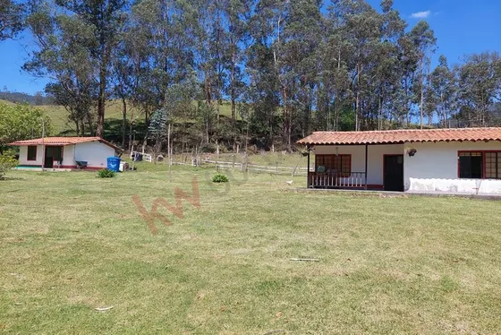 Venta Excepcional: Finca Ganadera De 11 Fanegadas (12926).